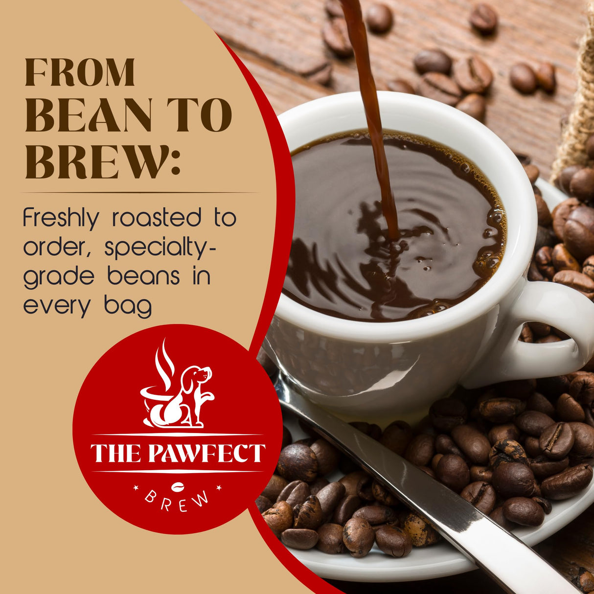 From bean to brew, freshly roasted specialty-grade coffee in every bag from The Pawfect Brew.