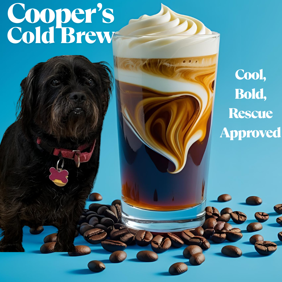 Cooper's Cold Brew with a refreshing glass of cold brew coffee and Cooper, the rescue dog, on a blue background.