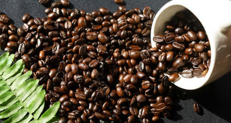 Unlocking the Secrets to Coffee’s Flavor ☕ - The Pawfect Brew