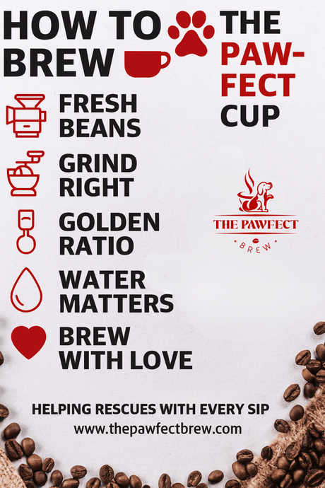 How to Brew the Perfect Cup of Coffee - The Pawfect Brew