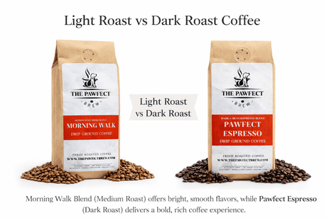 Light Roast vs Dark Roast Coffee: What’s the Difference? - The Pawfect Brew
