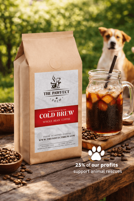 What Makes Coffee Good for Cold Brew? - The Pawfect Brew