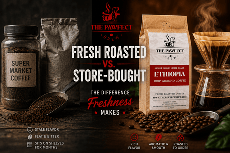 Fresh Roasted Coffee vs. Store-Bought: Key Differences