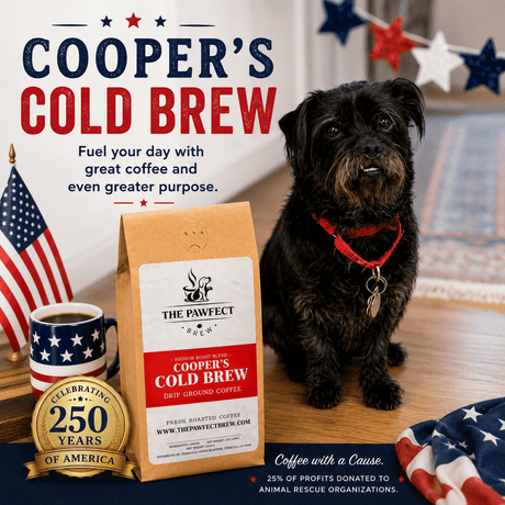 Why Cold Brew Is the Perfect Coffee for Summer - The Pawfect Brew