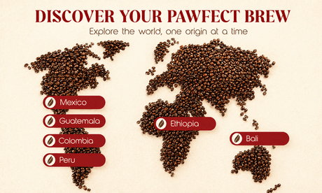 Explore Our Coffee Origins: How Single-Origin Coffee Makes Every Cup Meaningful - The Pawfect Brew