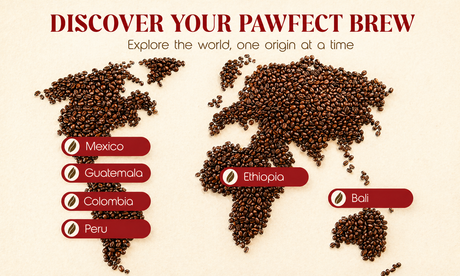 Explore Our Coffee Origins: How Single-Origin Coffee Makes Every Cup Meaningful