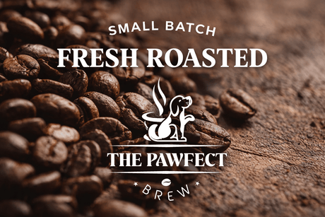 Exploring Specialty Coffee: A Guide - The Pawfect Brew