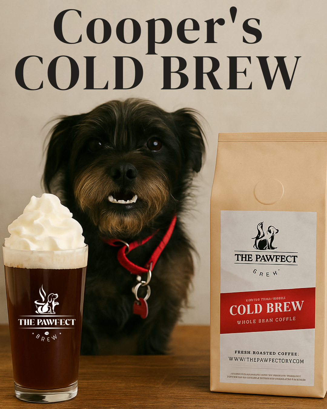 Cooper's Cold Brew coffee packaging alongside a refreshing cold brew drink and a cute dog.