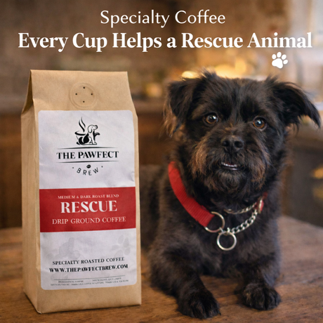 Rescue Blend – Medium Roast Coffee | The Pawfect Brew
