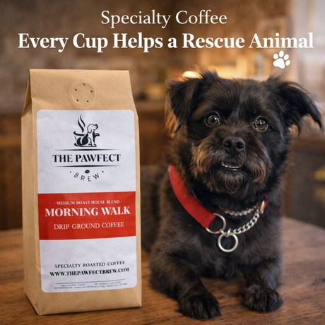 Morning Walk Blend – Medium Roast Coffee | The Pawfect Brew