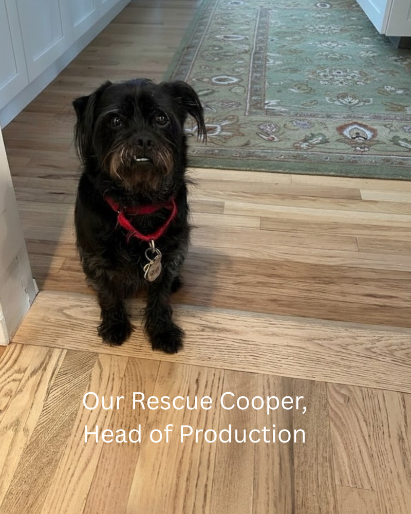 Small black dog sitting on a wooden floor with text 'Our Rescue Cooper, Head of Production' below.