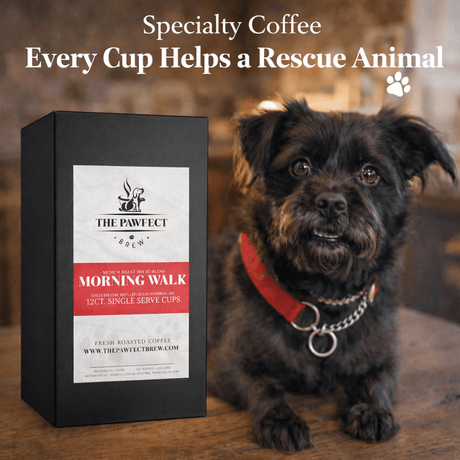 Morning Walk Blend – Medium Roast Coffee K - Cups | The Pawfect Brew - The Pawfect Brew