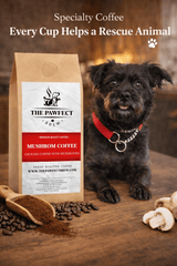 Mushroom Coffee Medium Roast with Lion’s Mane, Reishi & Cordyceps - The Pawfect Brew