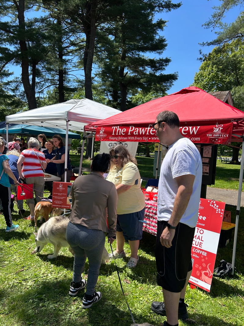 People interacting with a dog under a red tent with 'The Pawtrait' branding in a park setting.