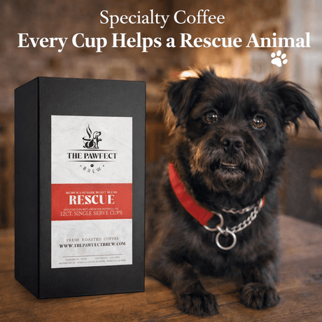 Rescue Blend – Medium Roast Coffee K - Cups | The Pawfect Brew - The Pawfect Brew